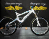 gravity novinky GT 2012