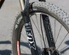KTM 2012: Phinx 29" fotogalerie
