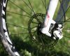 Kona 2+2 fotogalerie