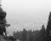 Evropsk� poh�r iXS Downhill Cup