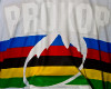 Mistrovstv� sv�ta 4X 2011