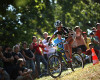 Pells Kriterium Pavl�na �ulcov�
