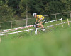 Jan �karnitzl