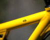 RB IQ 29