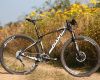 Giant XtC Composite 29er 1: TEST
