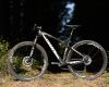 Giant XtC Composite 29er 1: TEST