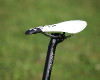 AnthemX Advanced 1