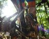 Giant XtC Composite 29er 1: TEST