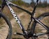 Giant XtC Composite 29er 1: TEST
