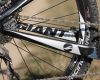 Giant XtC Composite 29er 1: TEST