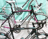 Bianchi