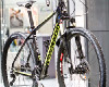 Colnago 29"