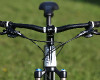 Anthem X 29ER 1