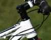 Anthem X 29ER 1