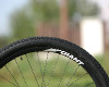 Anthem X 29ER 1