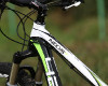 Inexxis 1