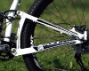 Anthem X 29ER 1