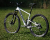 Anthem X 29ER 1