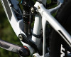 Anthem X 29ER 1