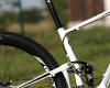 Anthem X 29ER 1