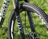 Anthem X 29ER 1