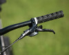 Anthem X 29ER 1
