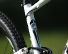 Anthem X 29ER 1
