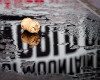 Sv�tov� poh�r XC #3 2012 - Nov� M�sto: U23