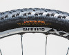 Orbea Oiz Kate�iny Nash