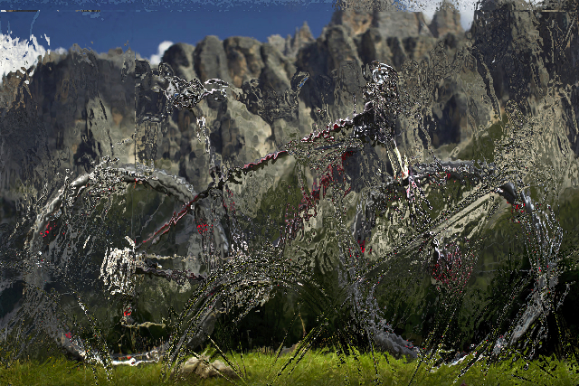 Kolo - hádej co jsem!