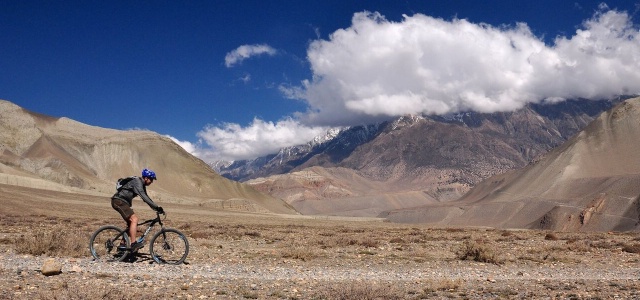 Mustang  bikovn za hradbou Himalj
