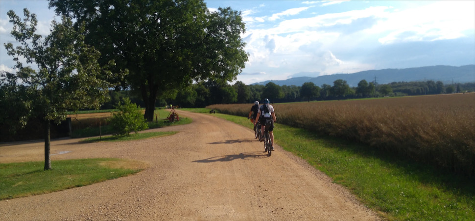 BikeTransGermany – 1000 mil z Basileje na Rujánu