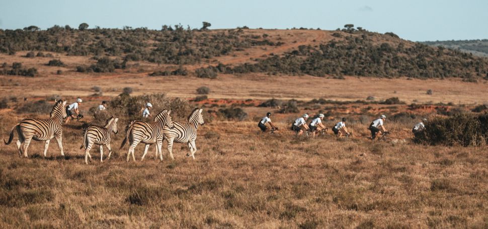 Gravel Burn   Od Pidcocka po Mortona  hvzdn sms discipln