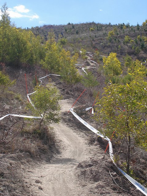 Nissan UCI MTB World Cup 2008 - Canberra/AUS - hrav singl