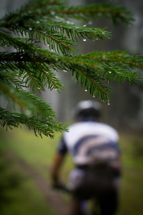 Trek MTB Maraton Krakatit