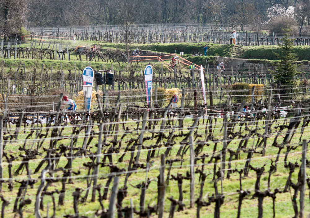 Kamptal - Klasik - Trophy - Langenlois 2016