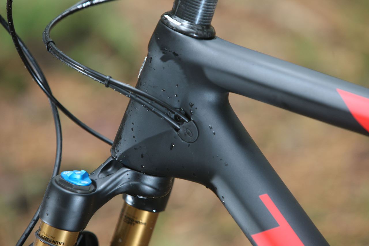 Trek Procaliber 9.9 Race Shop Limited