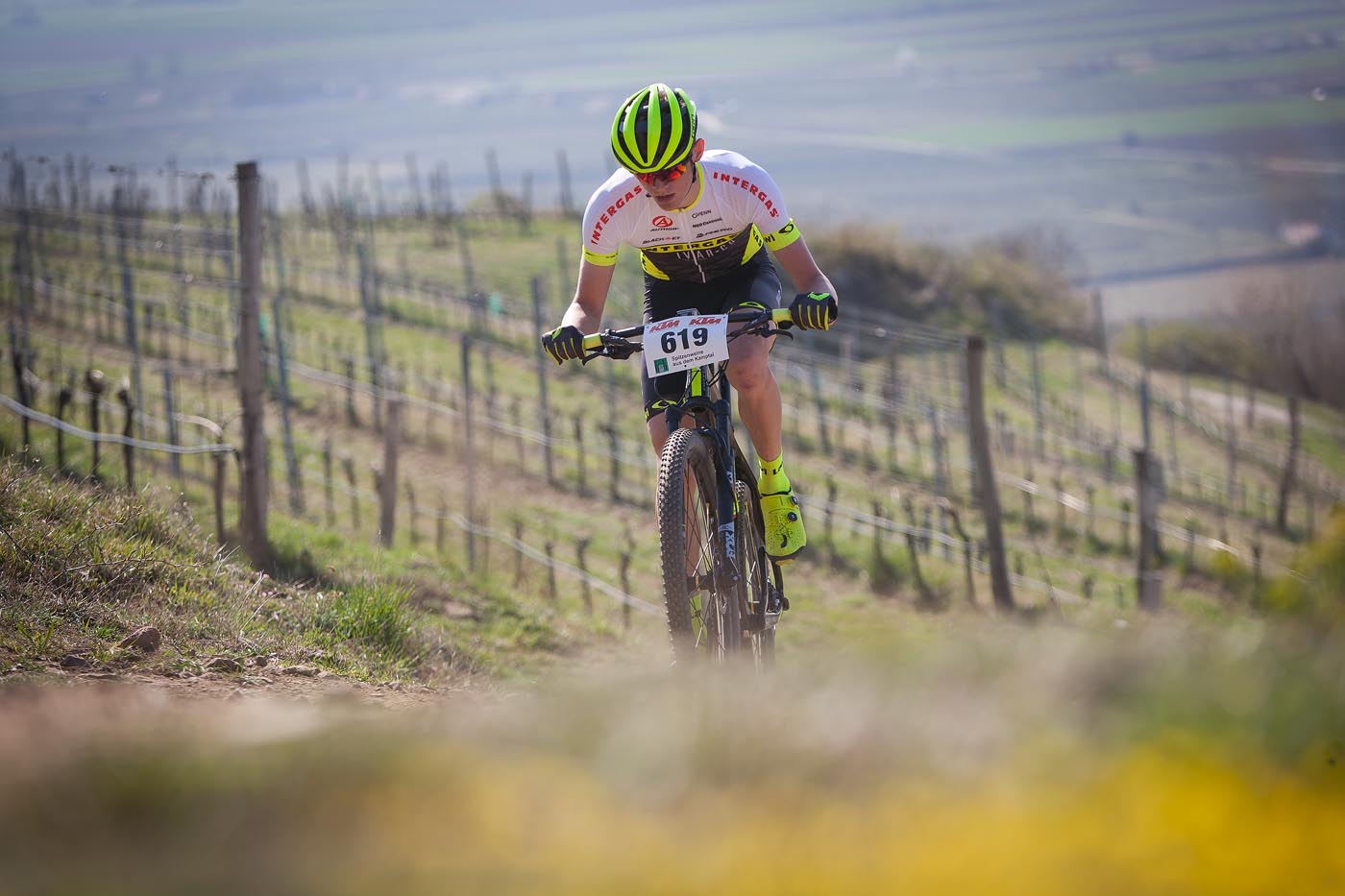 Langenlois 2019 - Bruno Stoek