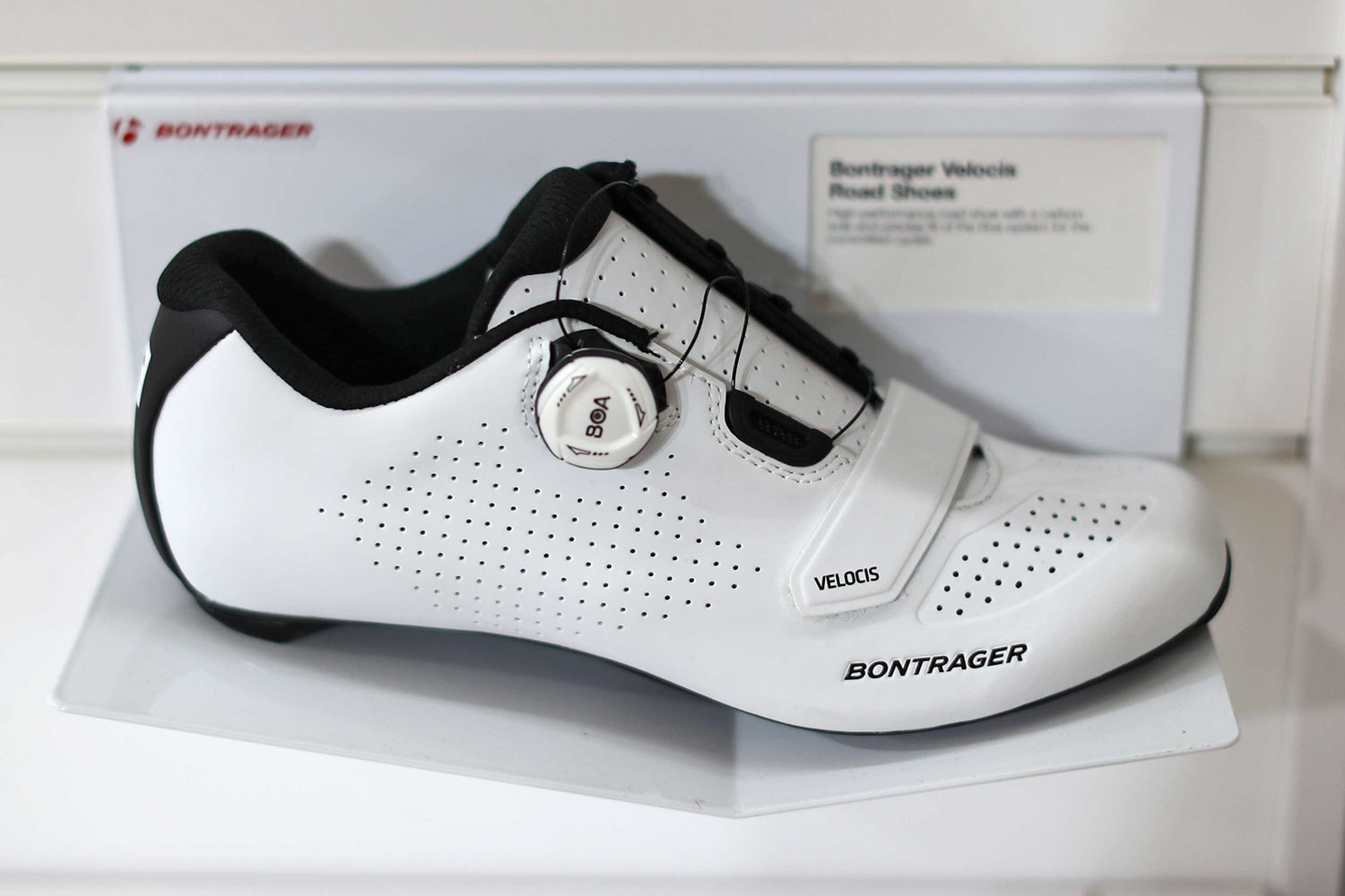 Bontrager 2020