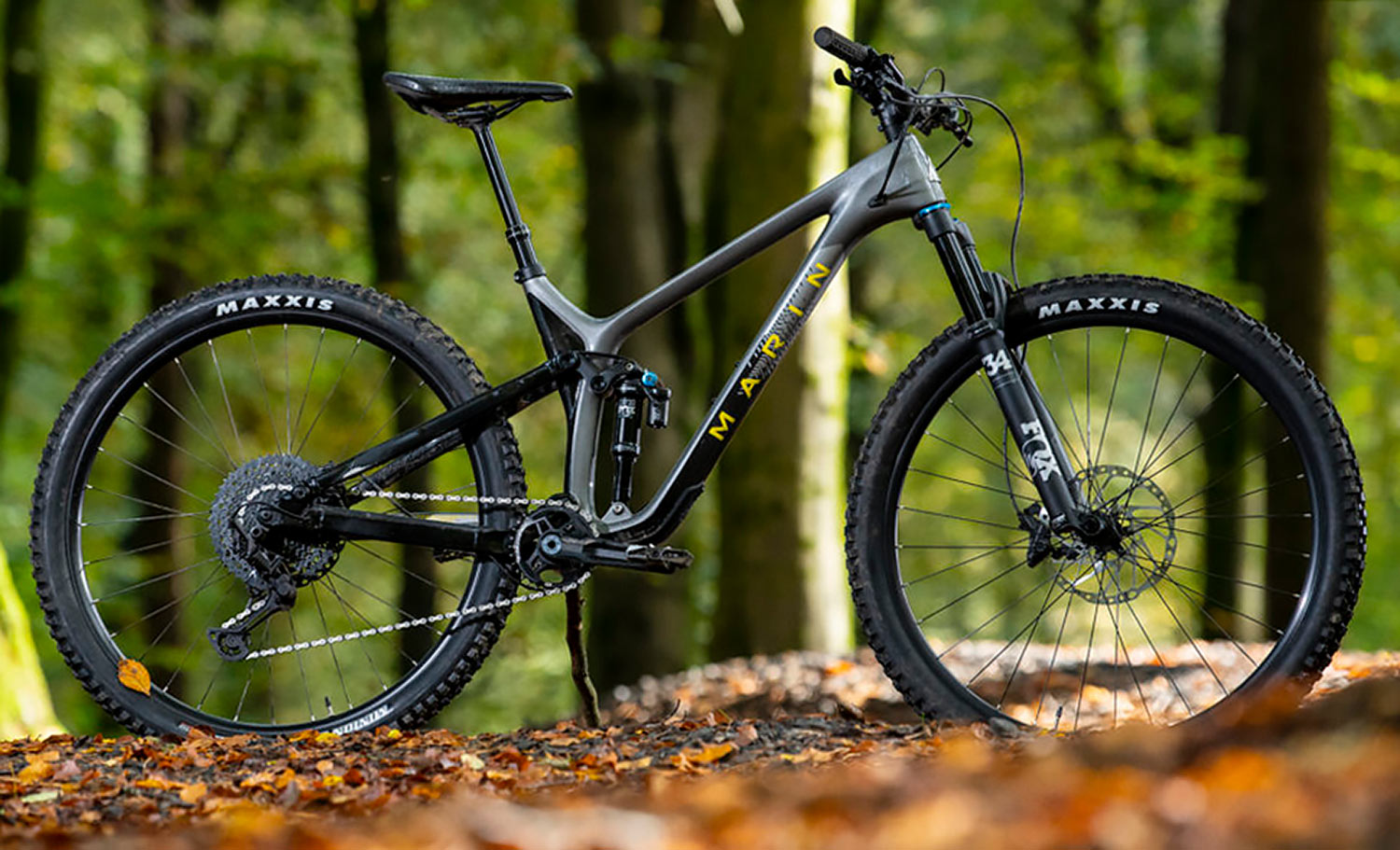 Marin Rift Zone Carbon 2020