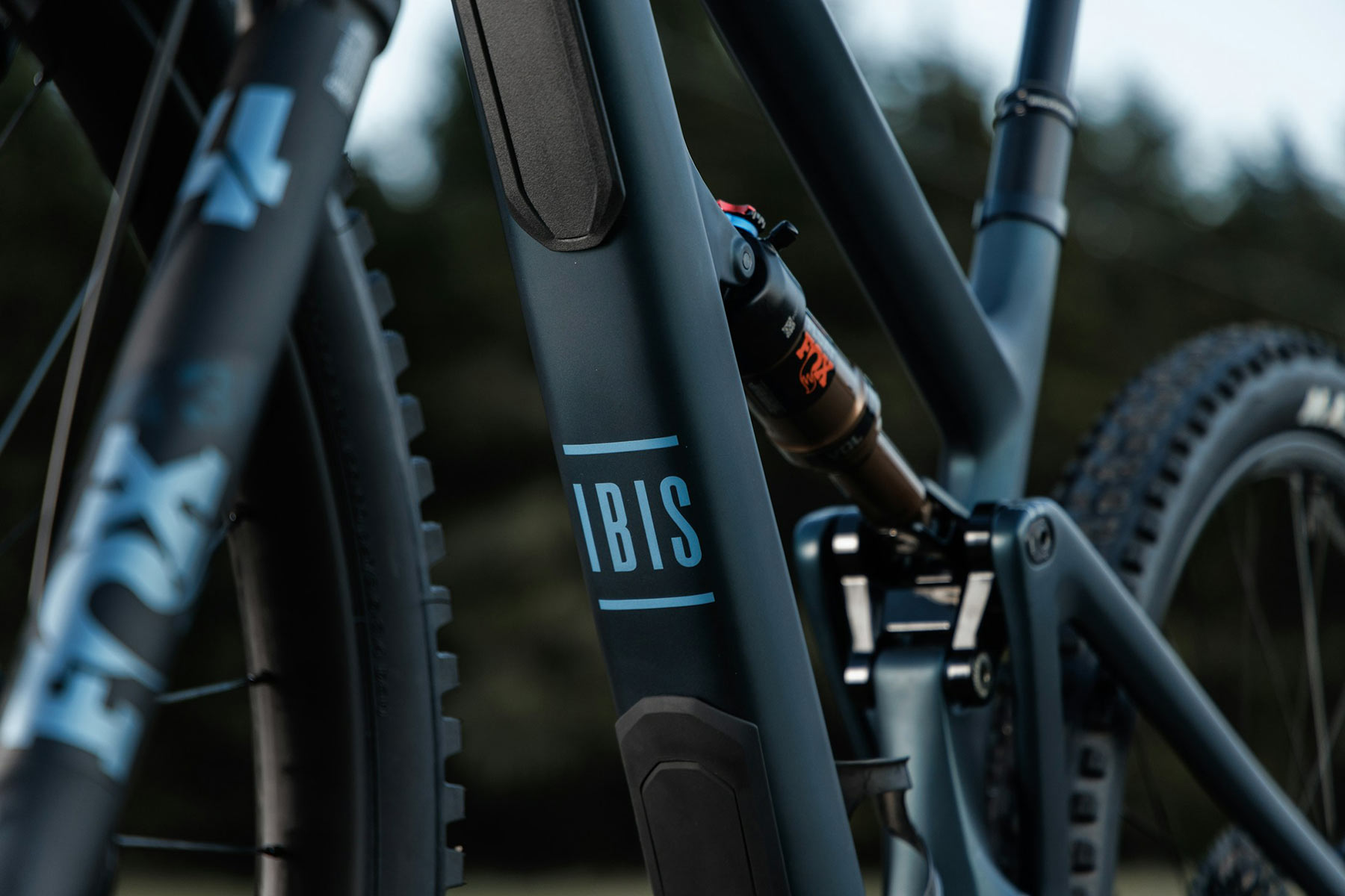 Ibis Ripley V5