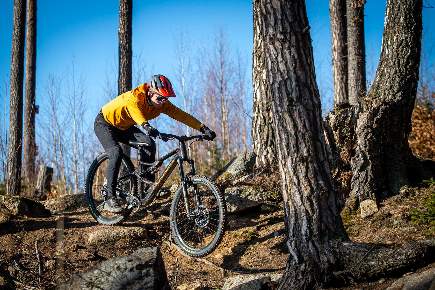 Orbea Rise LT & Occam LT