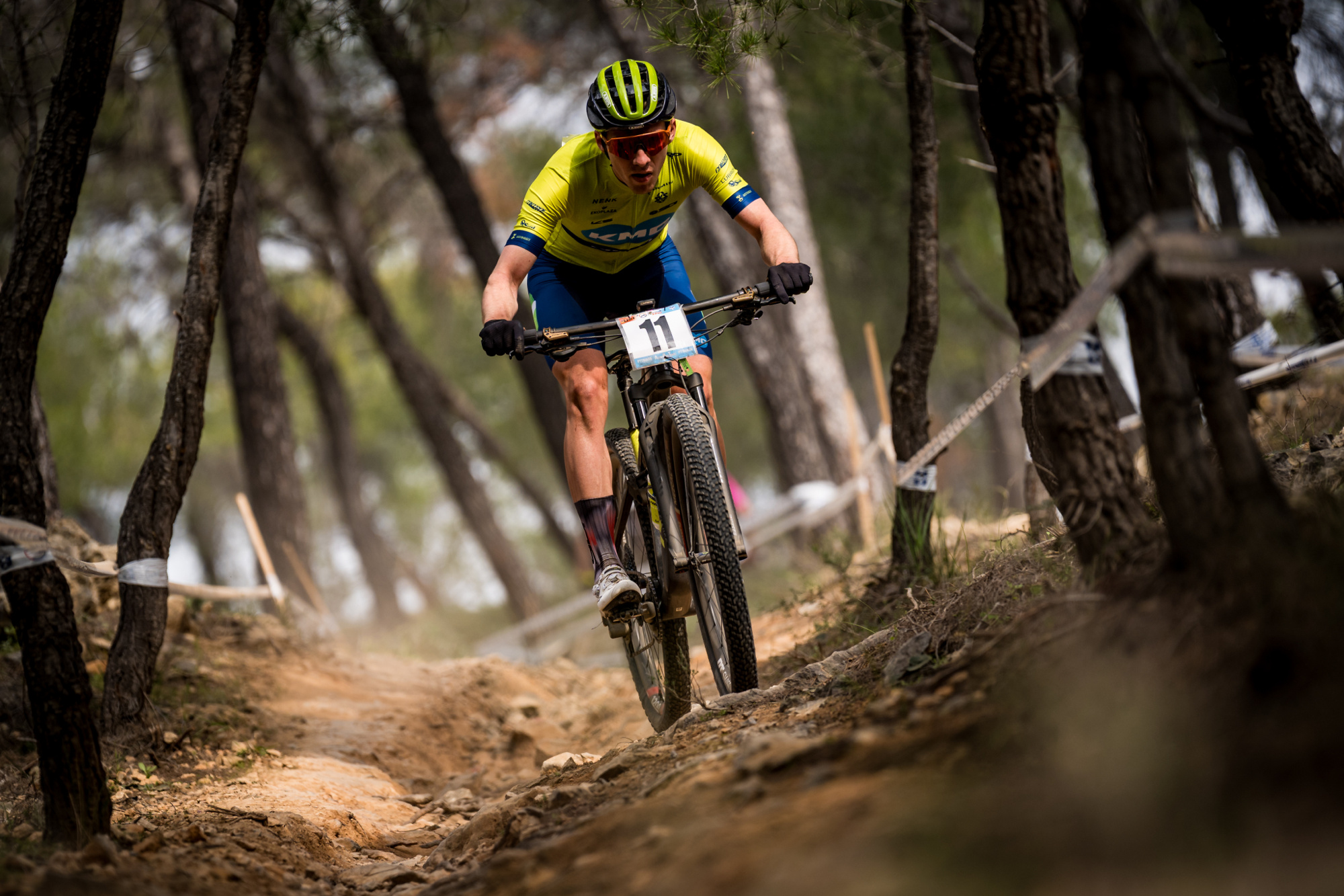 Salamina 2025 - esk rozjet