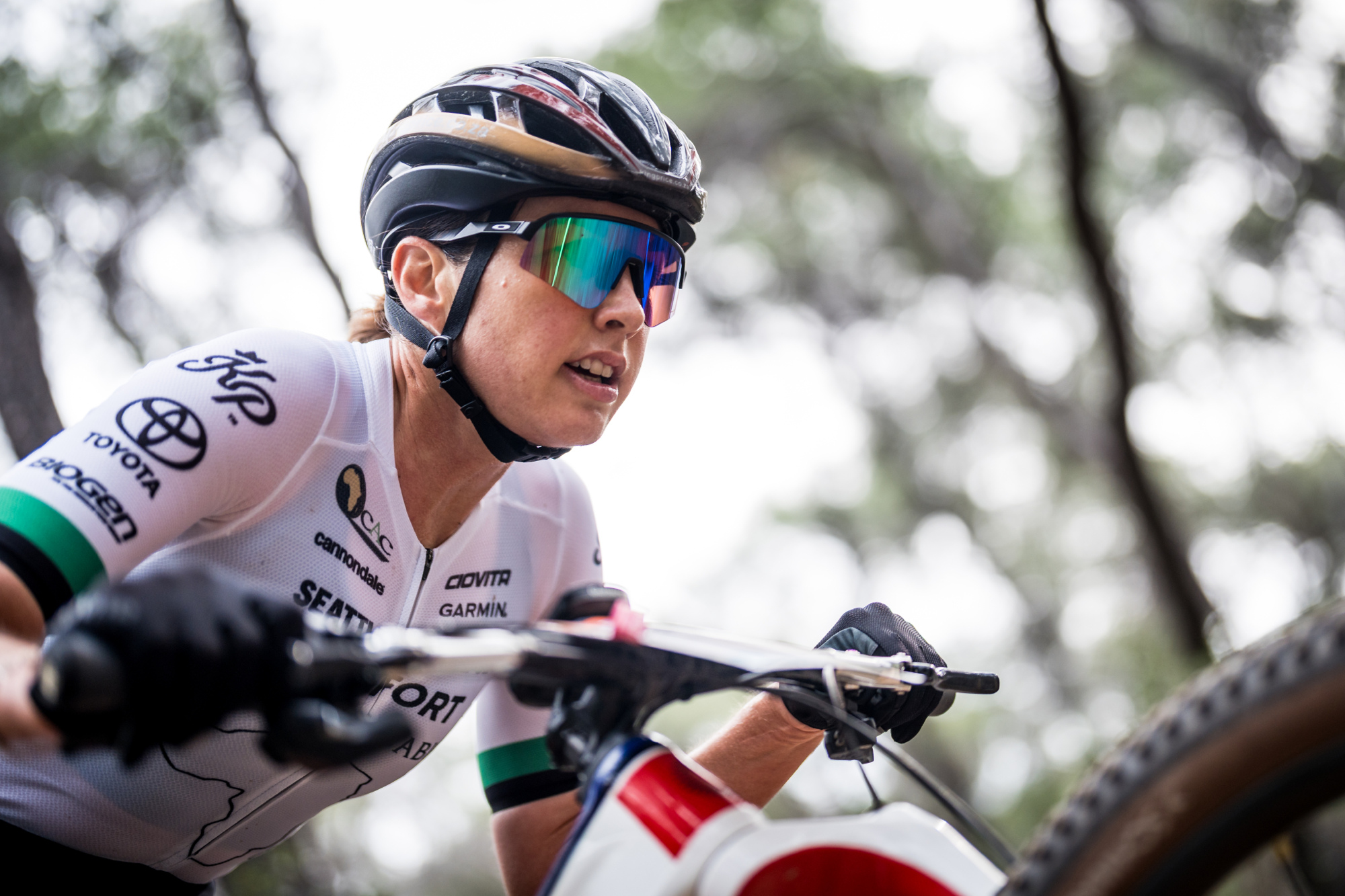 Salamina 2025 - esk rozjet