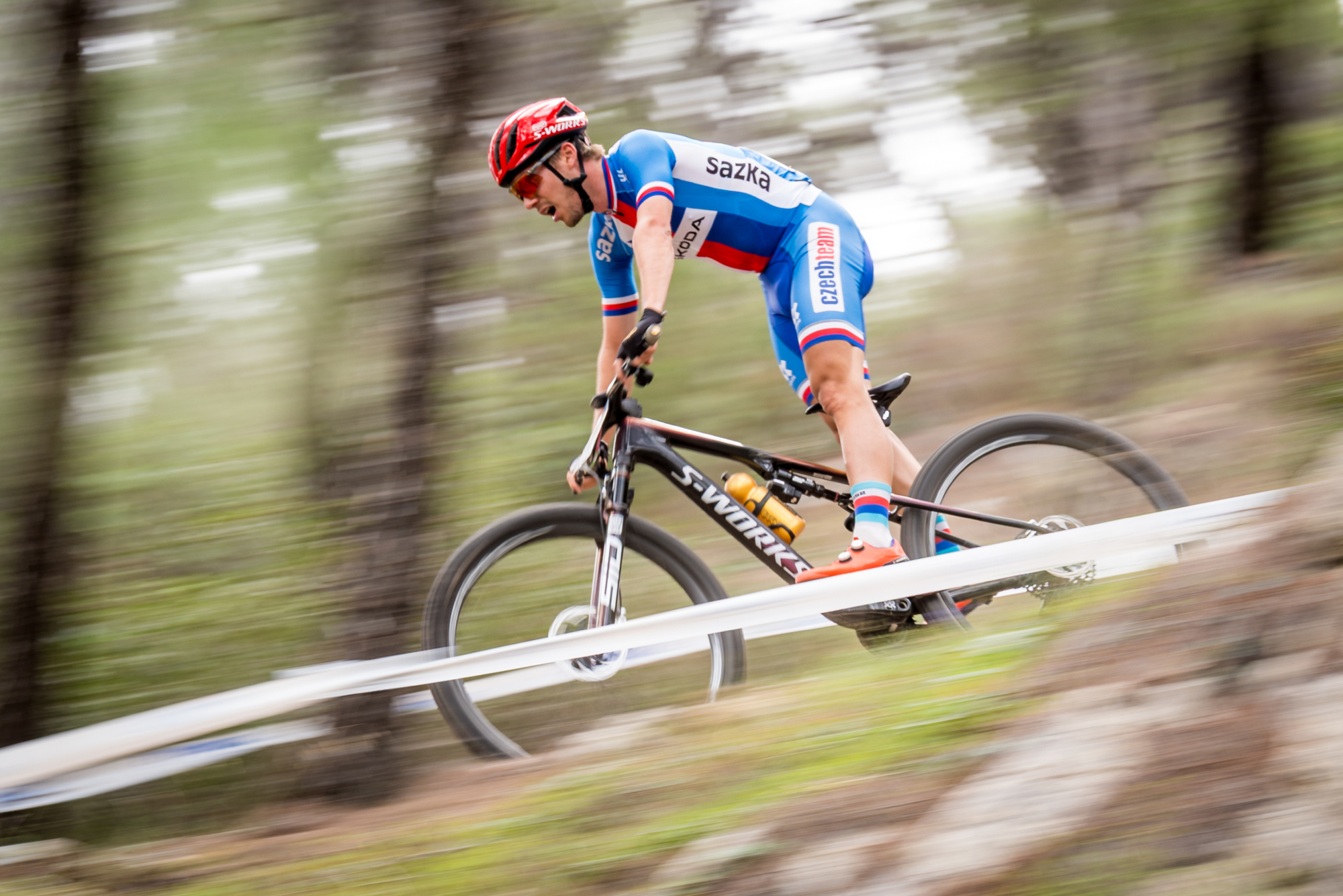 Salamina 2025 - esk rozjet