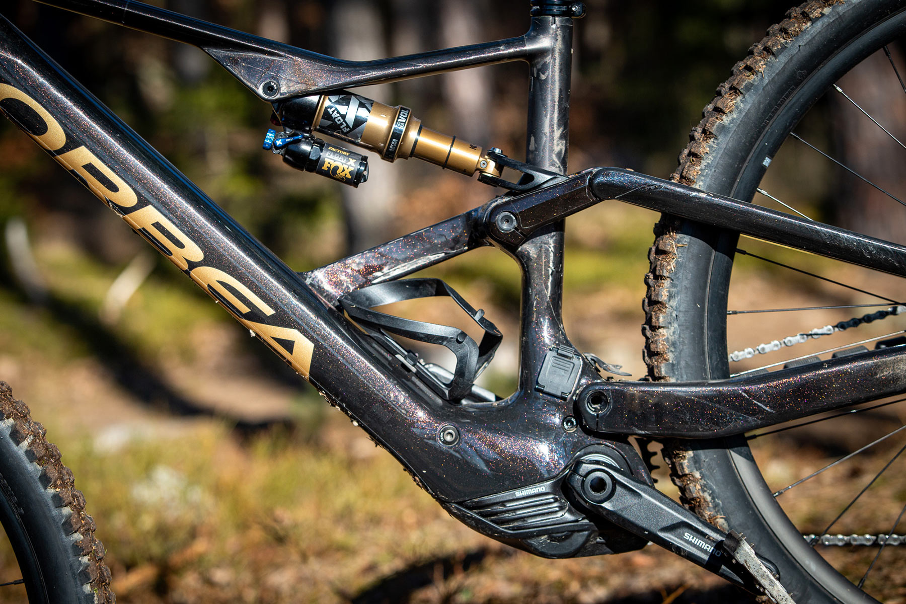 Orbea Rise LT & Occam LT