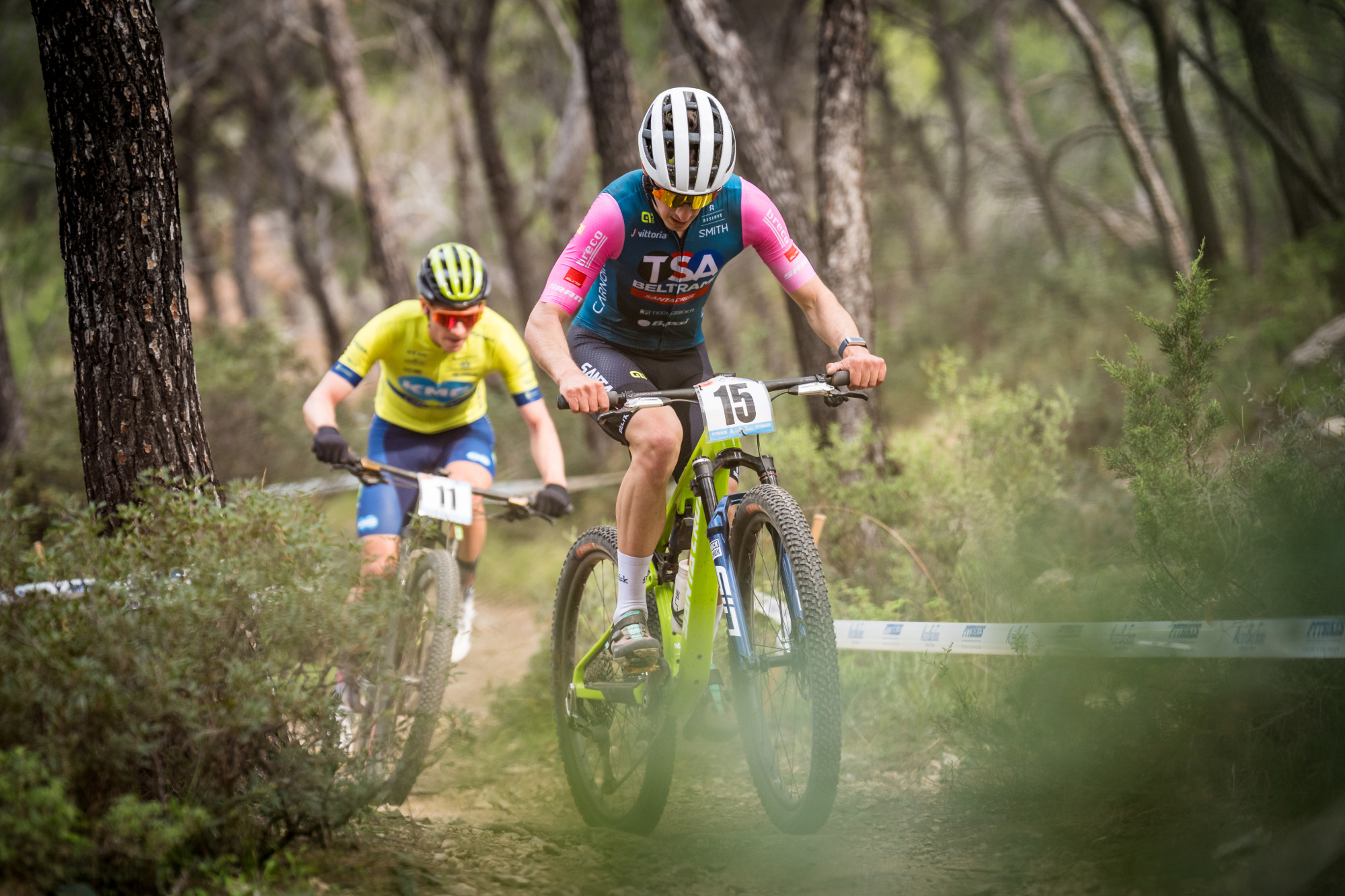 Salamina 2025 - esk rozjet