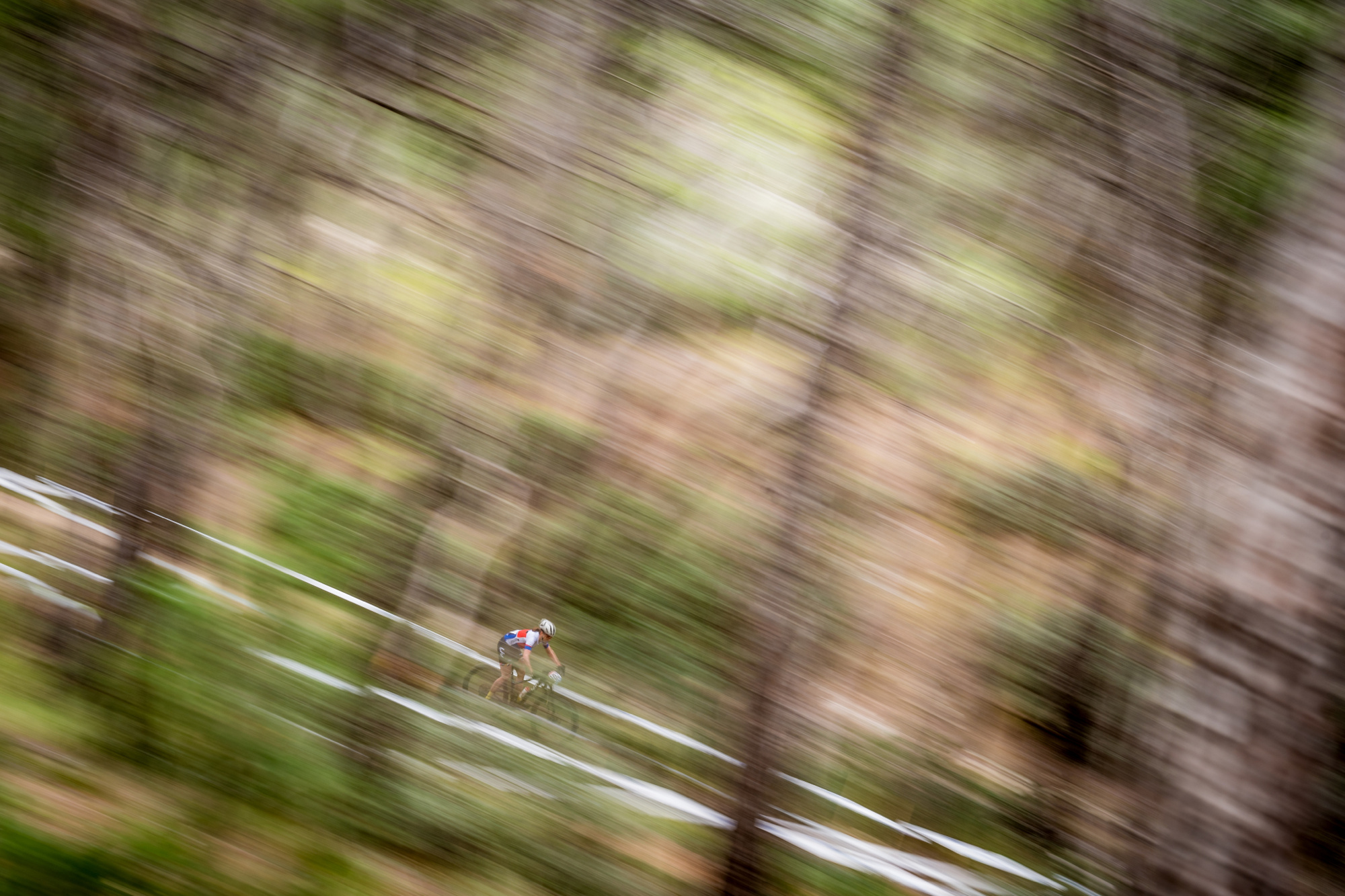 Salamina 2025 - esk rozjet