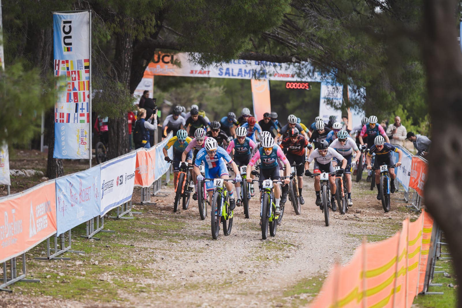 Salamina 2025 - esk rozjet