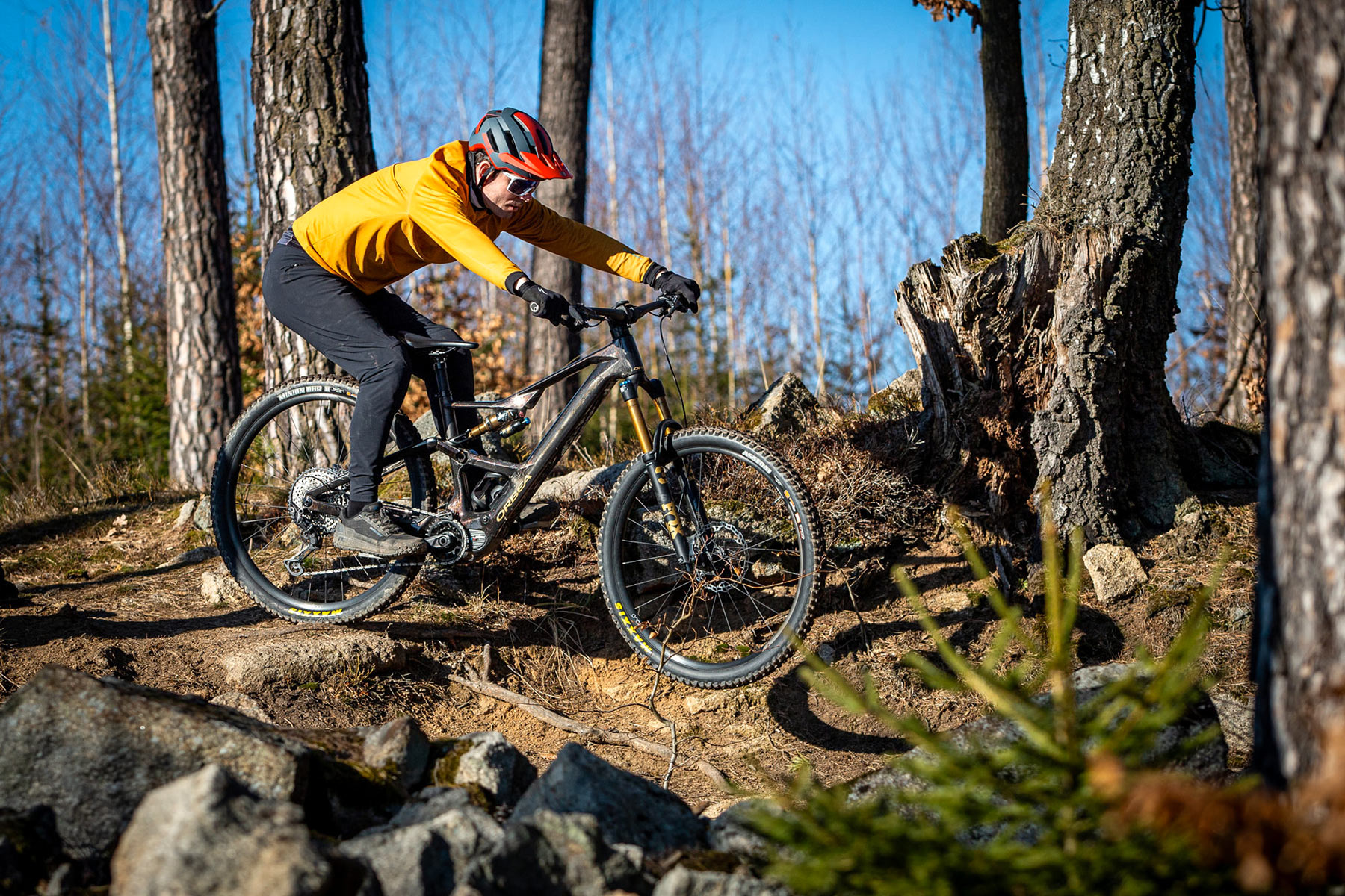 Orbea Rise LT & Occam LT